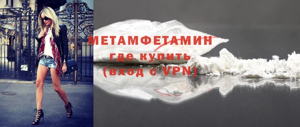 ПСИЛОЦИБИНОВЫЕ ГРИБЫ Богданович