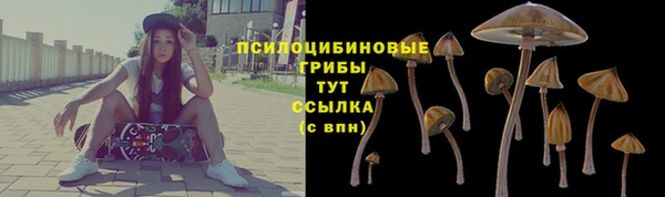СК Богородск