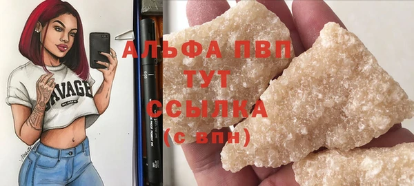 ПСИЛОЦИБИНОВЫЕ ГРИБЫ Богданович