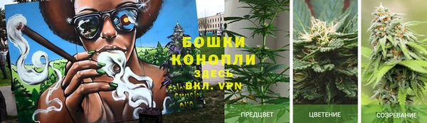 Альфа ПВП Богородицк