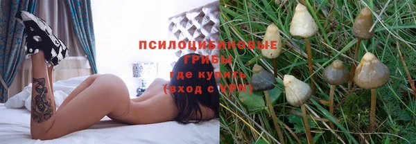 ПСИЛОЦИБИНОВЫЕ ГРИБЫ Богданович